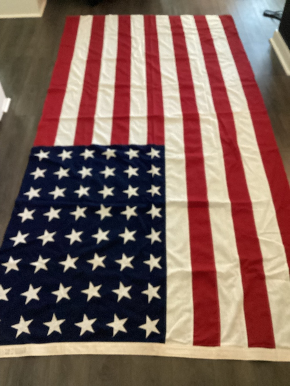 Large Vintage 48 Star American Flag Annin & Co. USA Flag Americana Decor
(Stain)